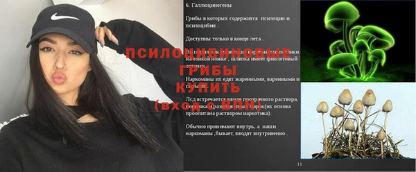 Альфа ПВП Протвино