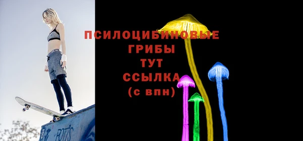 Альфа ПВП Протвино