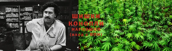 Альфа ПВП Протвино