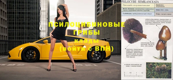 Альфа ПВП Протвино
