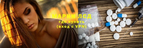 шишки Лысково
