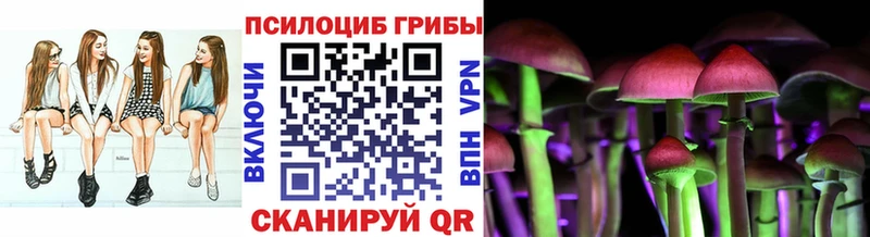 Псилоцибиновые грибы Magic Shrooms  сколько стоит  Сольвычегодск 