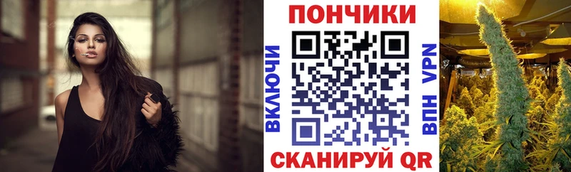 наркота  Сольвычегодск  Каннабис планчик 